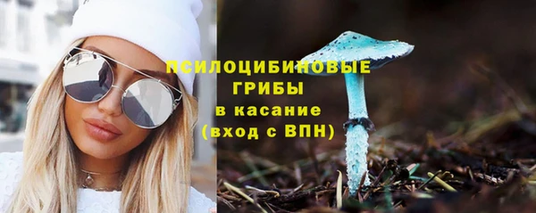 бошки Богданович