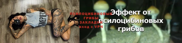 а пвп мука Богородицк
