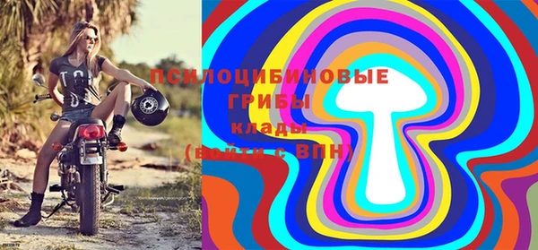 бошки Богданович