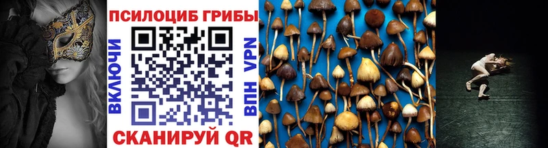 Псилоцибиновые грибы Cubensis Купить закладки Гагарин