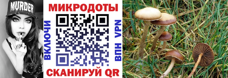 Псилоцибиновые грибы MAGIC MUSHROOMS Гагарин