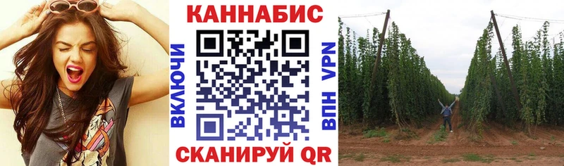 Купить закладки Гагарин Каннабис тримм